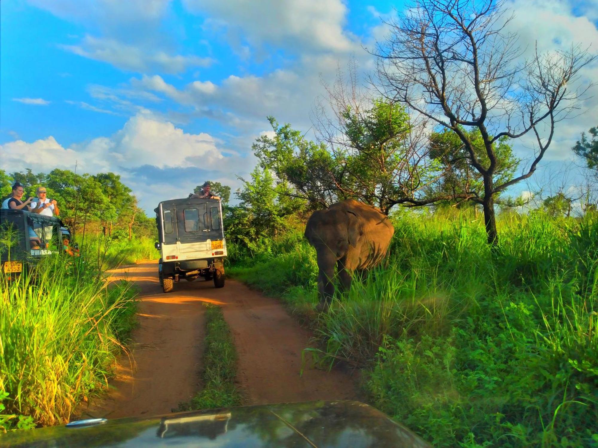 Sigiriya Nature Resort Εξωτερικό φωτογραφία