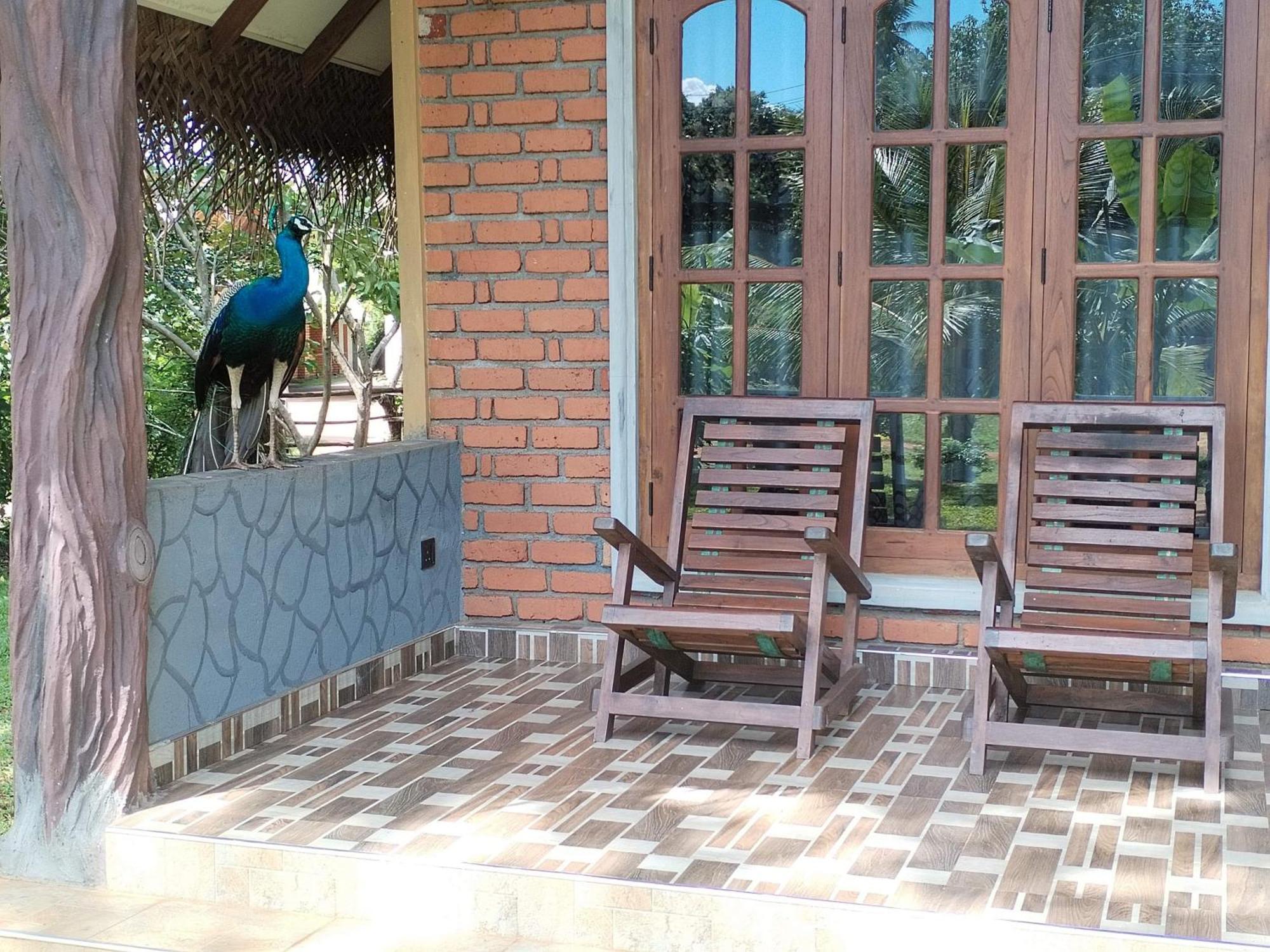 Sigiriya Nature Resort Εξωτερικό φωτογραφία