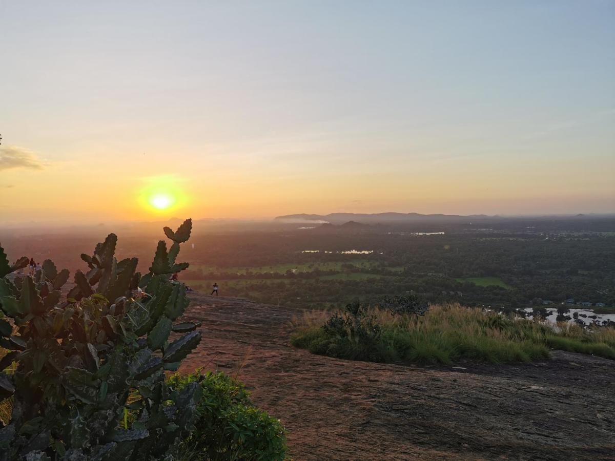 Sigiriya Nature Resort Εξωτερικό φωτογραφία