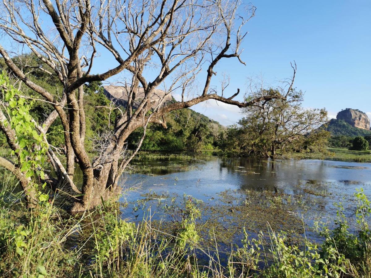 Sigiriya Nature Resort Εξωτερικό φωτογραφία